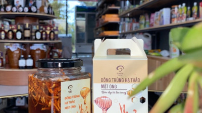 Địa chỉ mua đông trùng hạ thảo Quảng Ngãi uy tín