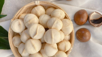 Hạt dinh dưỡng Quảng Ngãi - Địa chỉ mua uy tín