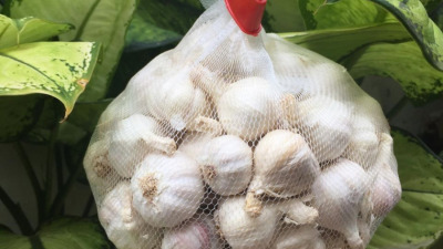 Đặc sản truyền thống tỏi Lý Sơn Quảng Ngãi